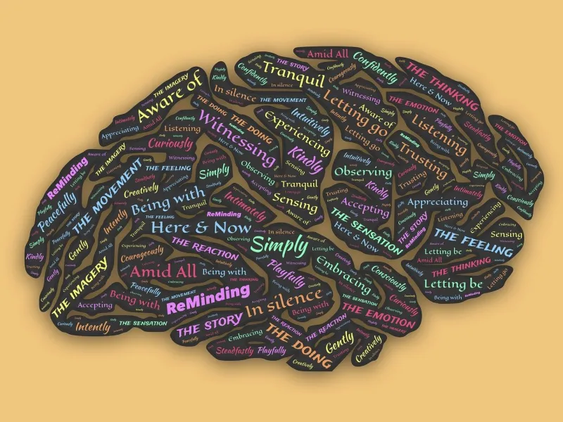 신경가소성-중요성