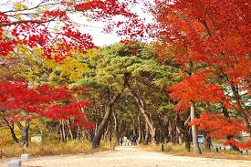 10월 아름다운 단풍산행지 