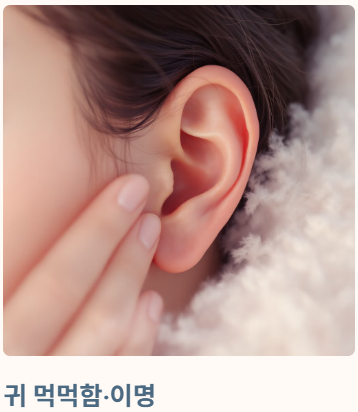 부비동염 증상 2025년 완벽 정리