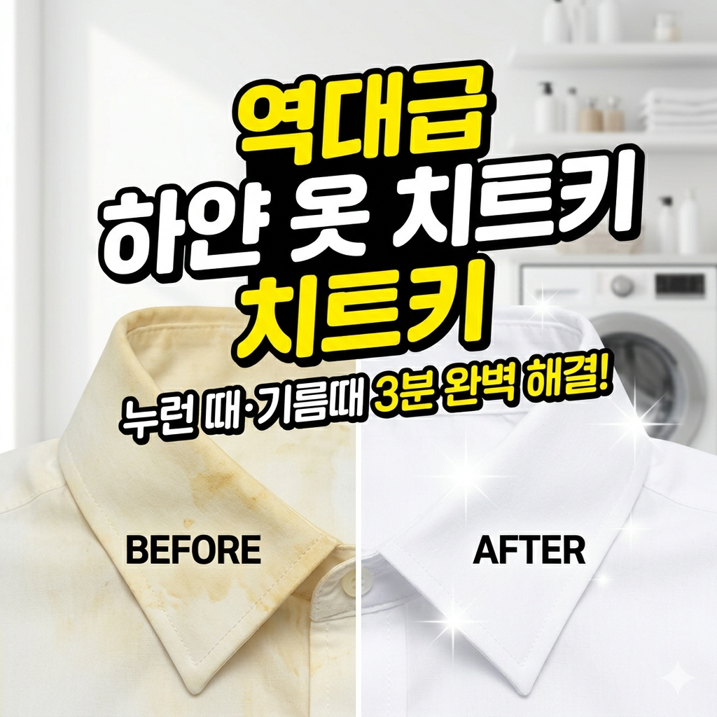 흰티_완벽세척방법