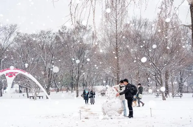 겨울 여행지 추천 서울숲