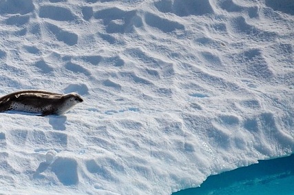 취약계층과 소상공인을 위한 여름철 전기요금 감면 및 할인제도 알아보기