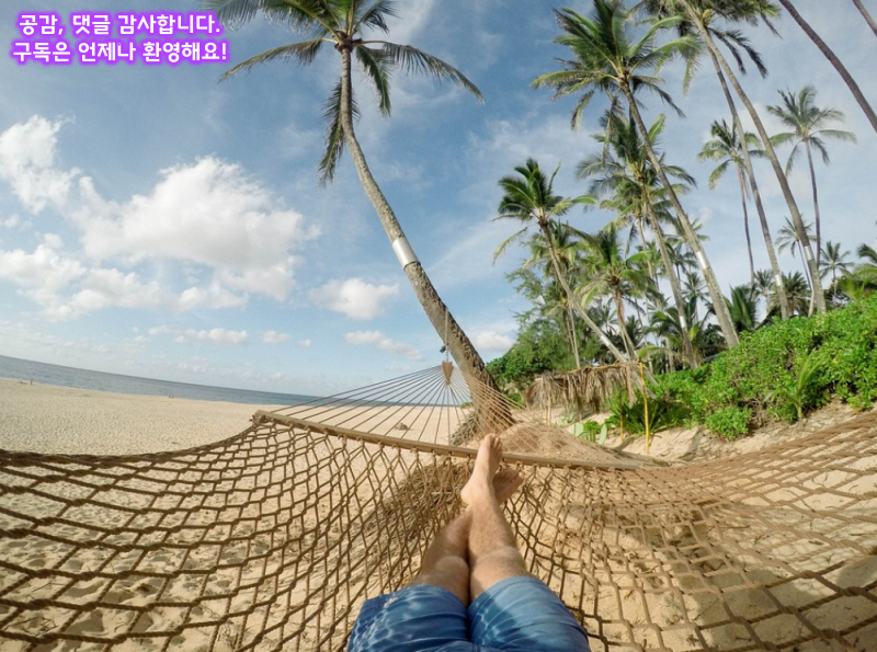 체크카드와신용카드장단점