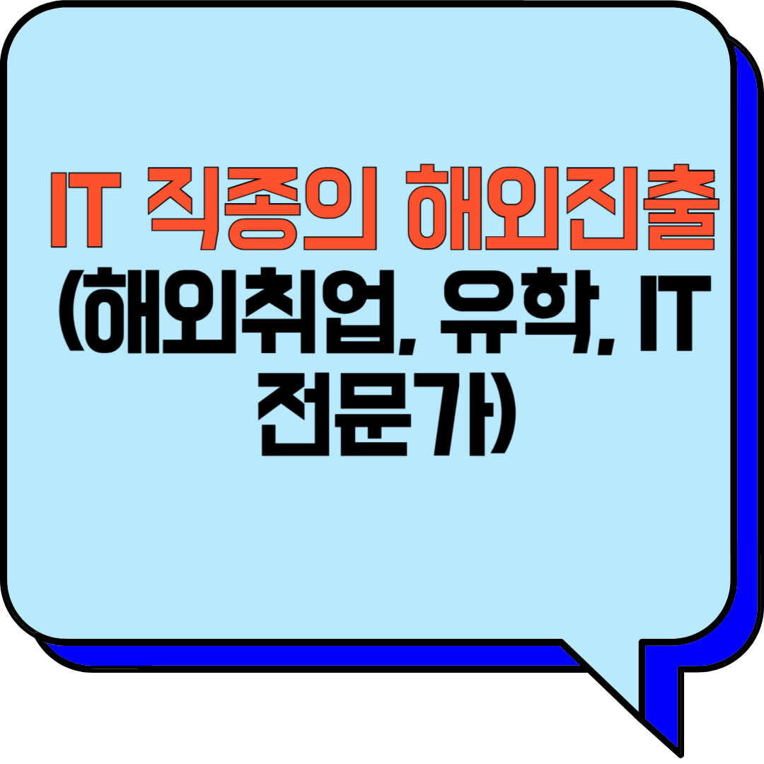 IT 직종의 해외진출 (해외취업, 유학, IT전문가)