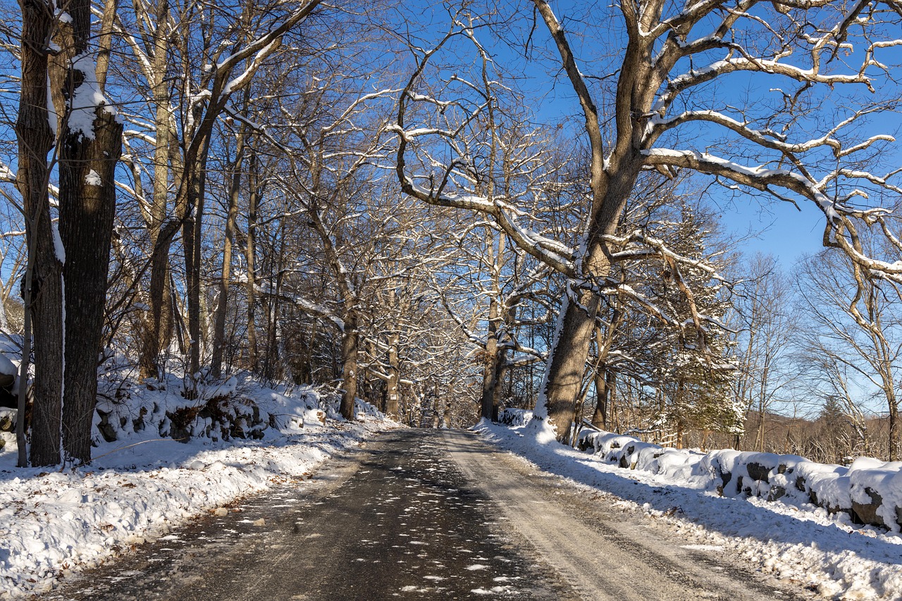 겨울 눈 풍경 사진