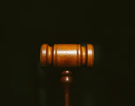 헌법재판소 개정안