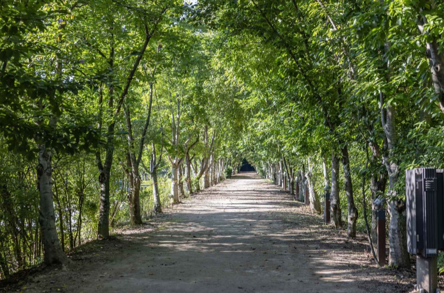 경주천연숲정원