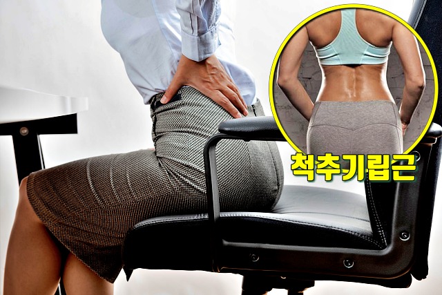 근육이 감소할때 증상,근감소증,등이 구부정