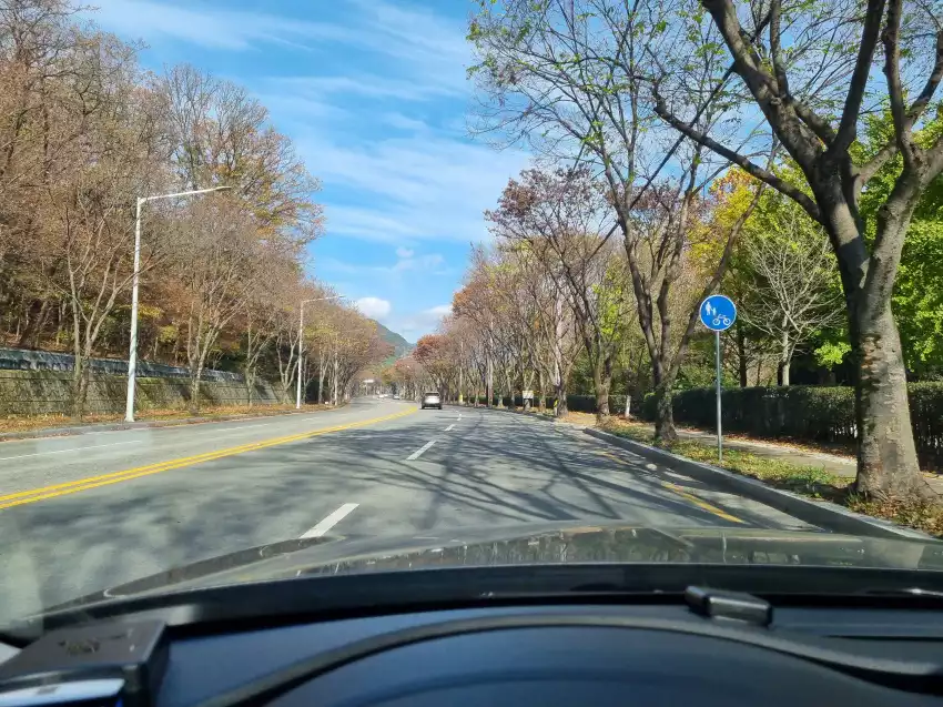 G80으로 시승하던 구간 중 일부입니다.