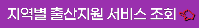지역별 출산 서비스 조회