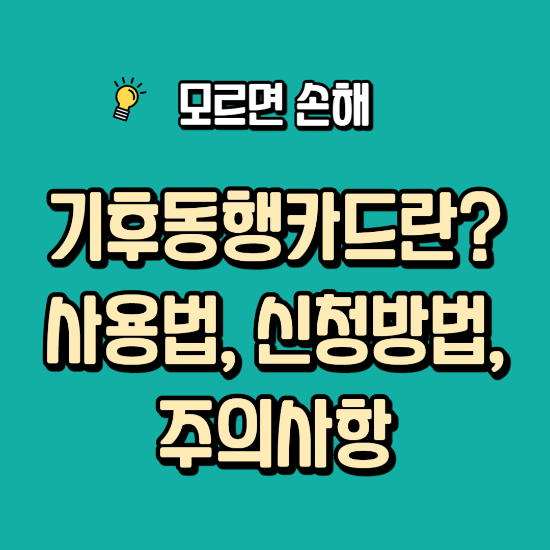 기후동행카드 사용법, 신청방법, 주의사항, 기후동행카드란