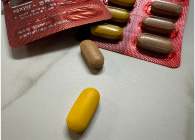 순환핏 다이어트 내돈내산