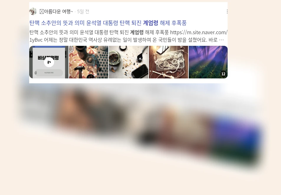 계엄령_2_subsection