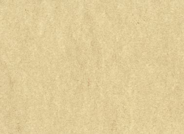 소방안전관리자