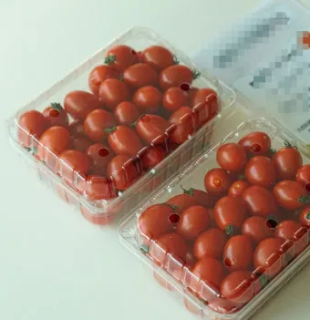 2주 이상 방울토마토 보관 시 꿀팁 오래 보관_3