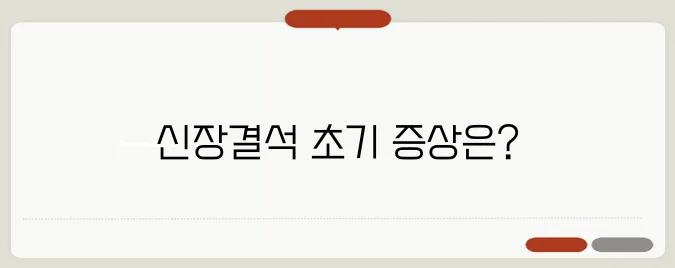 신장결석 증상 초기 신호와 자연 배출을 돕는 방법