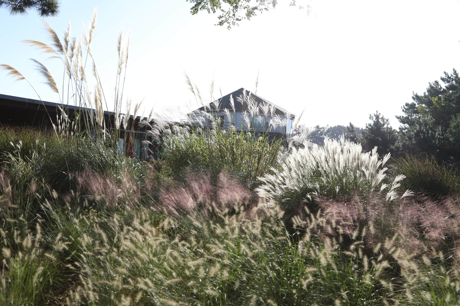 천리포수목원 가든하우스 