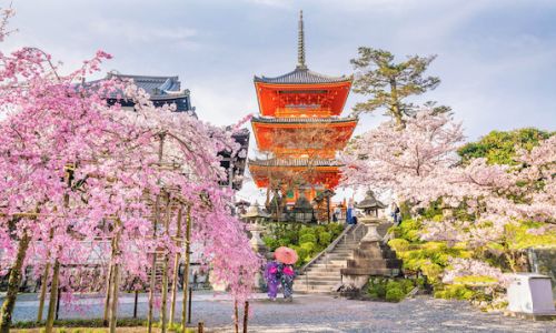 여행한그릇 교토버스 투어