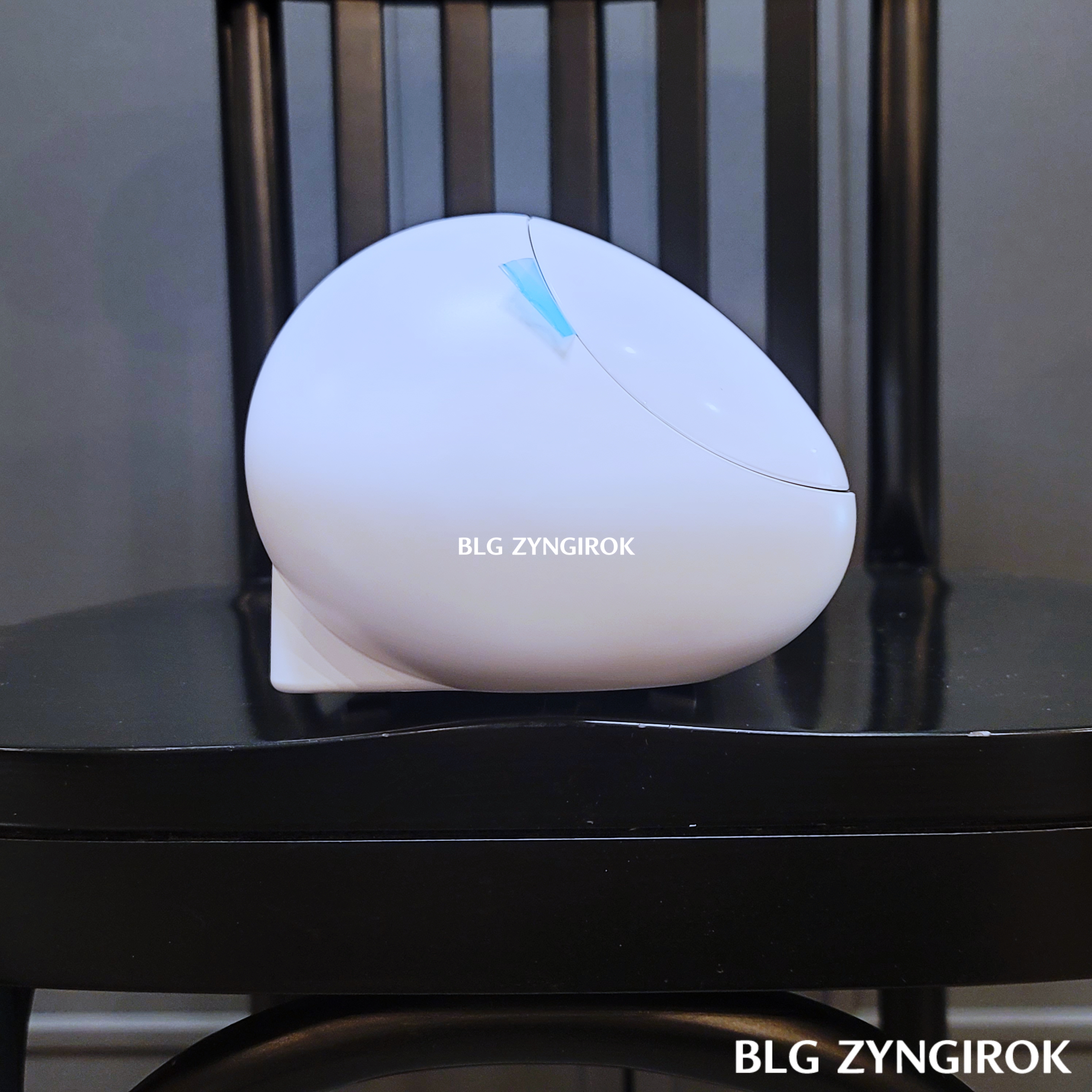 포트레이트-왼편의-모습이다.