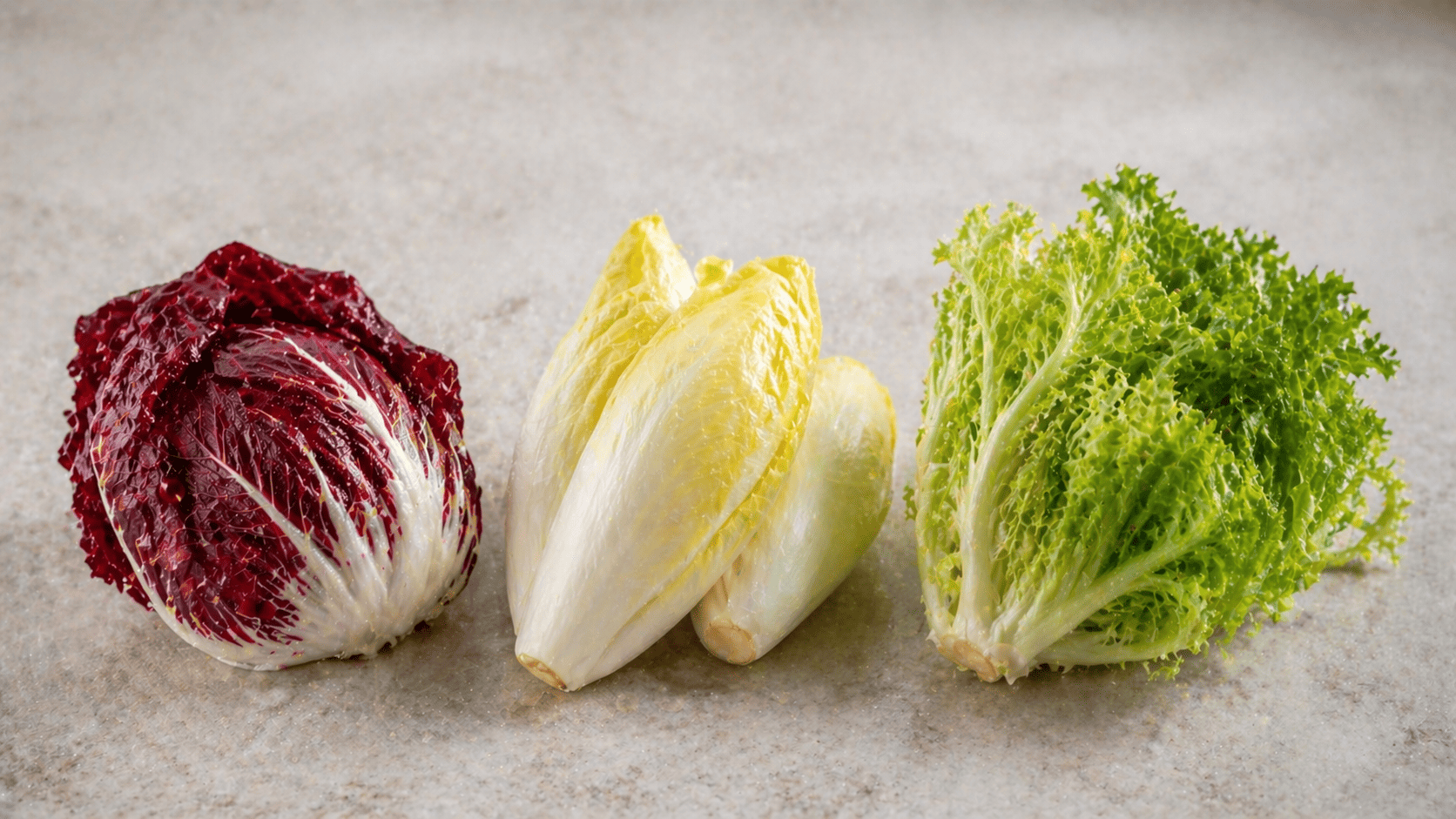 유럽 치커리 재배 방식과 국가별 차이