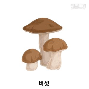 비타민D 많은 음식