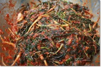 고들빼기 김치 맛나게 담는법 초보도 쉽게 따라하는 집밥 비법에 대한 절임비율_5