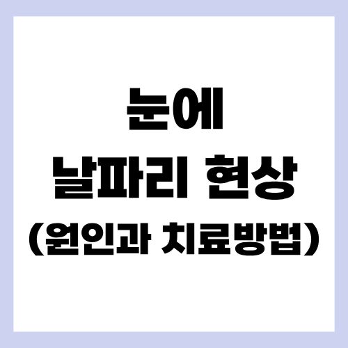 눈에 날파리 현상