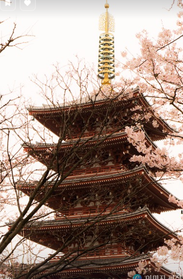 일본 정부의 AI 반도체 육성 정책