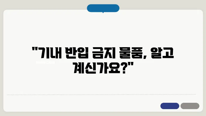 기내 반입 금지 품목
