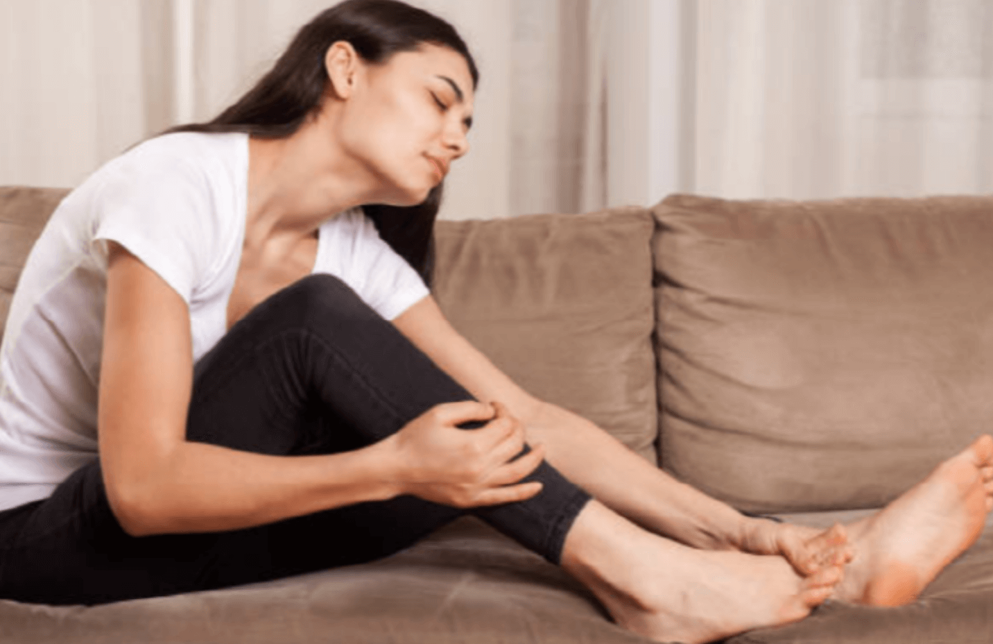 다리 쥐 예방법