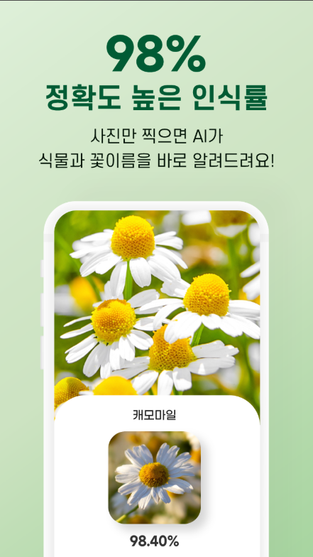 꽃 이름 찾기 어플, 휴대폰으로 꽃 사진을 찍으면 AI가 검색하고 꽃이름 확인하기
