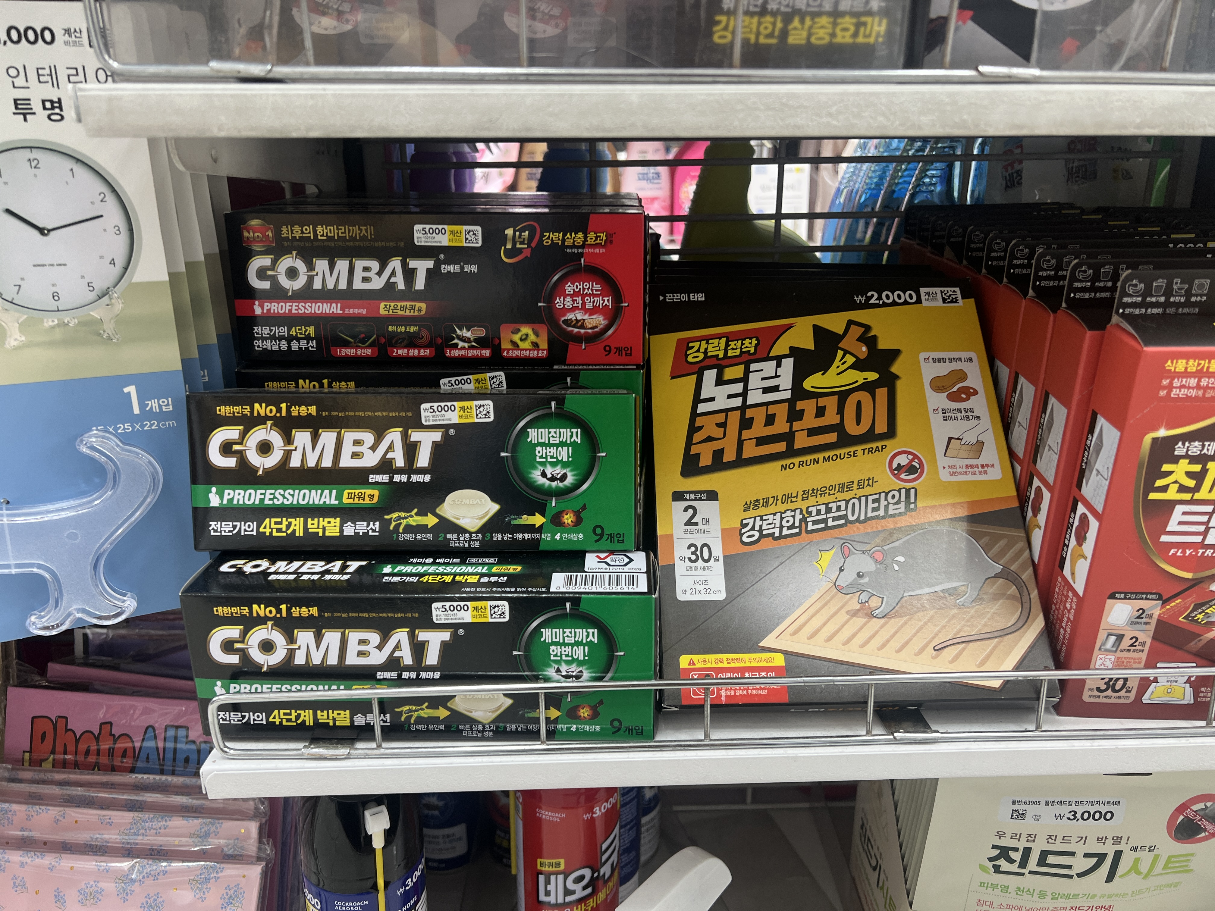 다이소 바퀴벌레