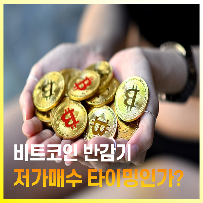 손으로 비트코인을 잔뜩 들고있는 모습