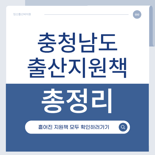 공주시 출산지원정책