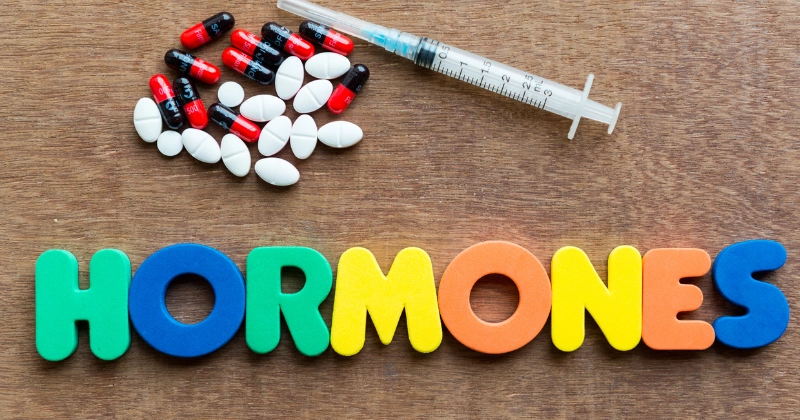 호르몬