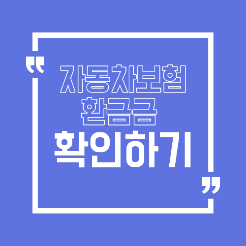 자동차 보험 환급금 조회 확인하기