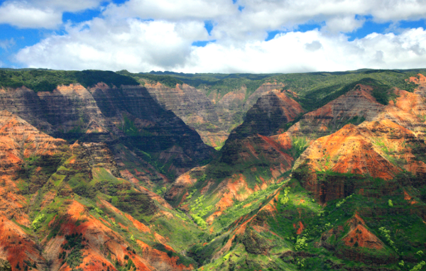 하와이 신혼여행