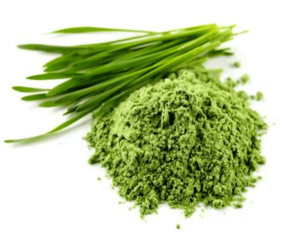 새싹보리 먹는법