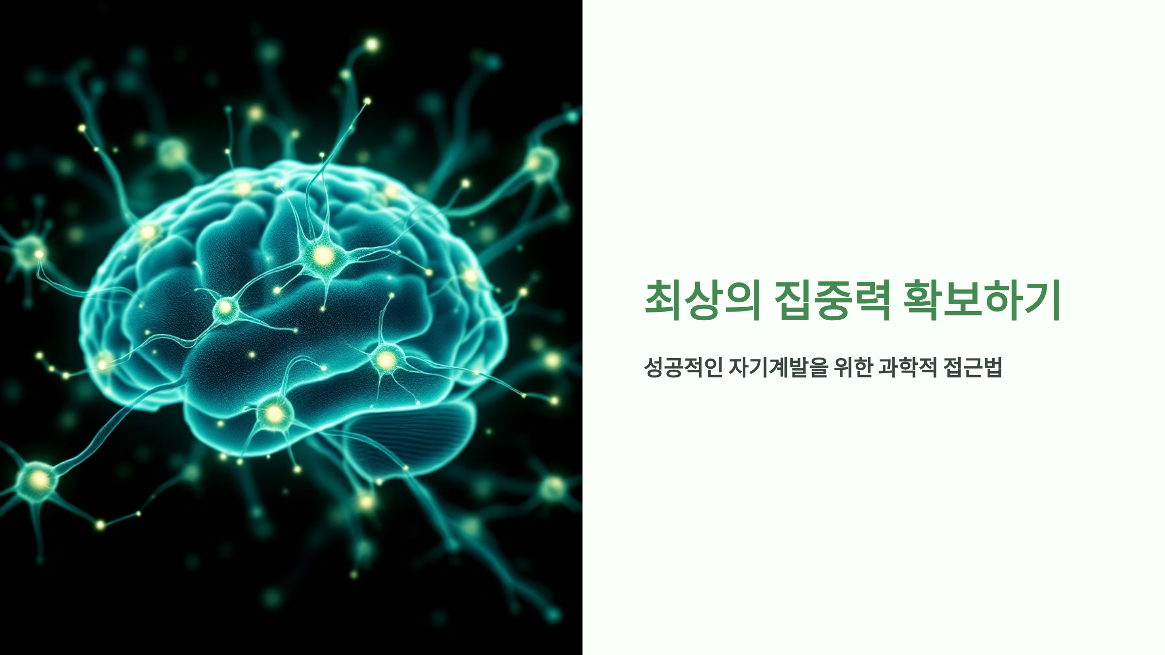 집중력 훈련으로 생산성 2배 높이기