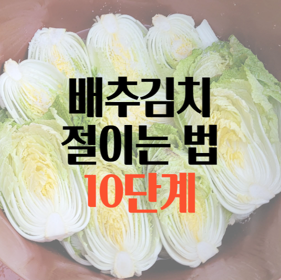 배추김치 절이는 법 10단계