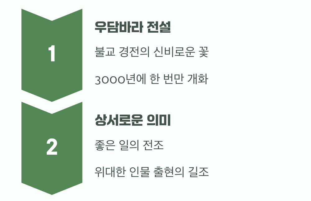 전설 속 3000년의 기다림