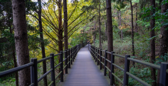 서울 안산자락길