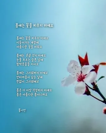 그리움 관련 시 모음 100선_2