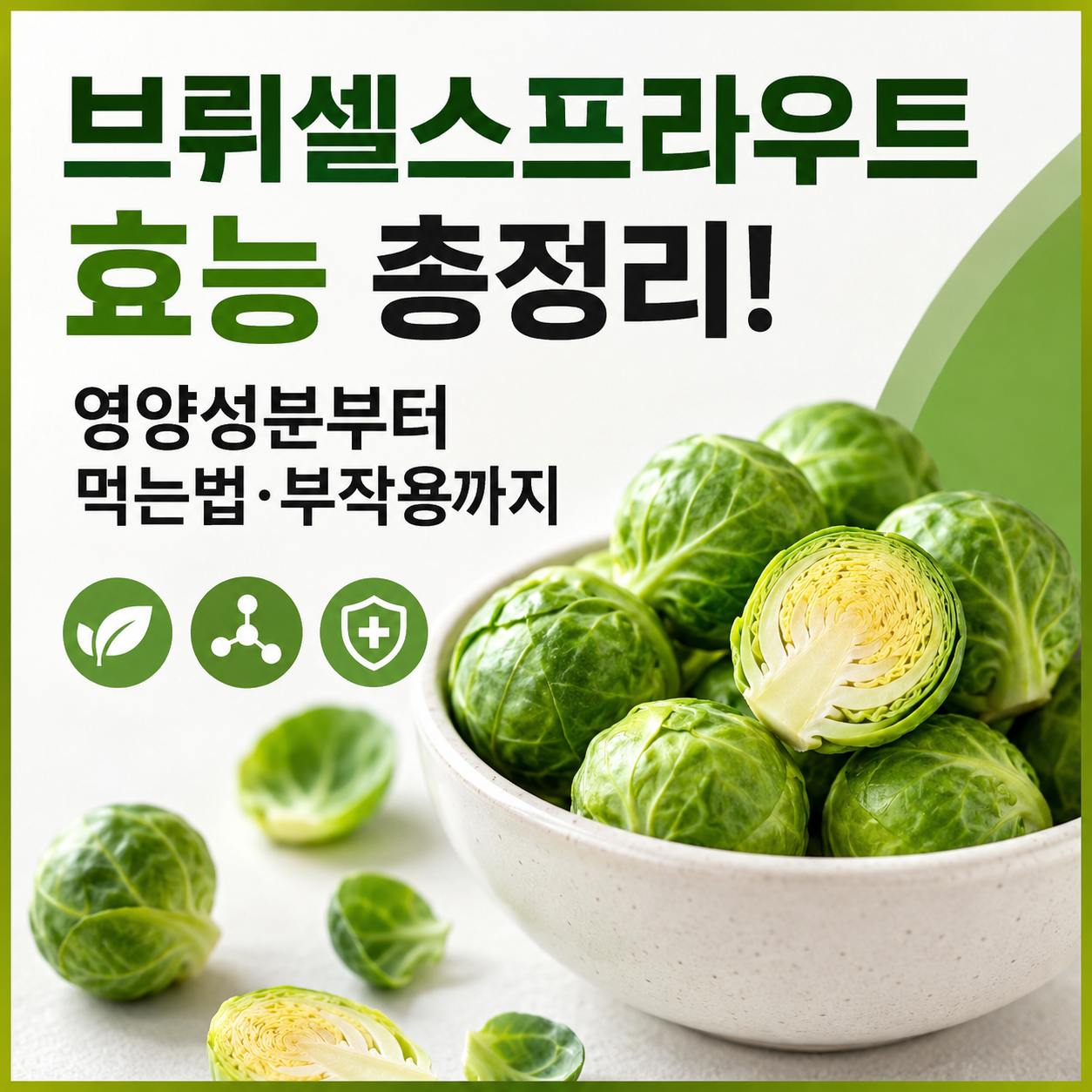 브뤼셀스프라우트 효능