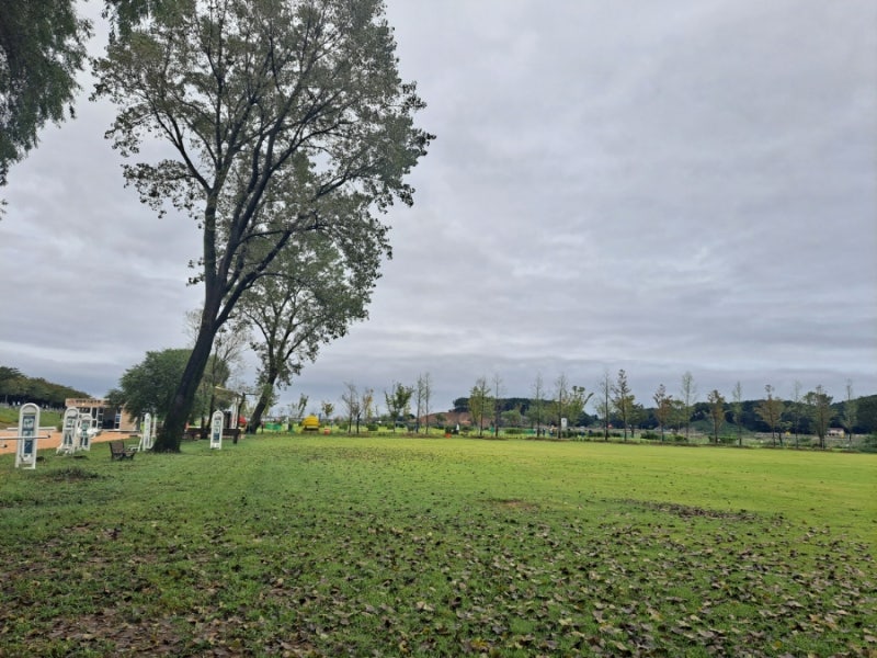 강원도 양양파크골프장 (송이조각공원파크골프장)소개