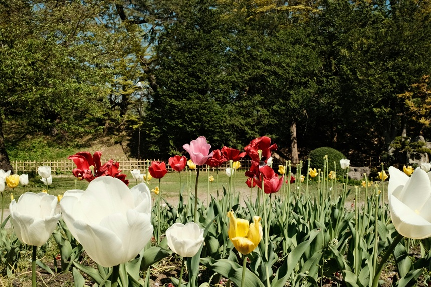 불안 장애의 원인과 증상, 그리고 대처 방법