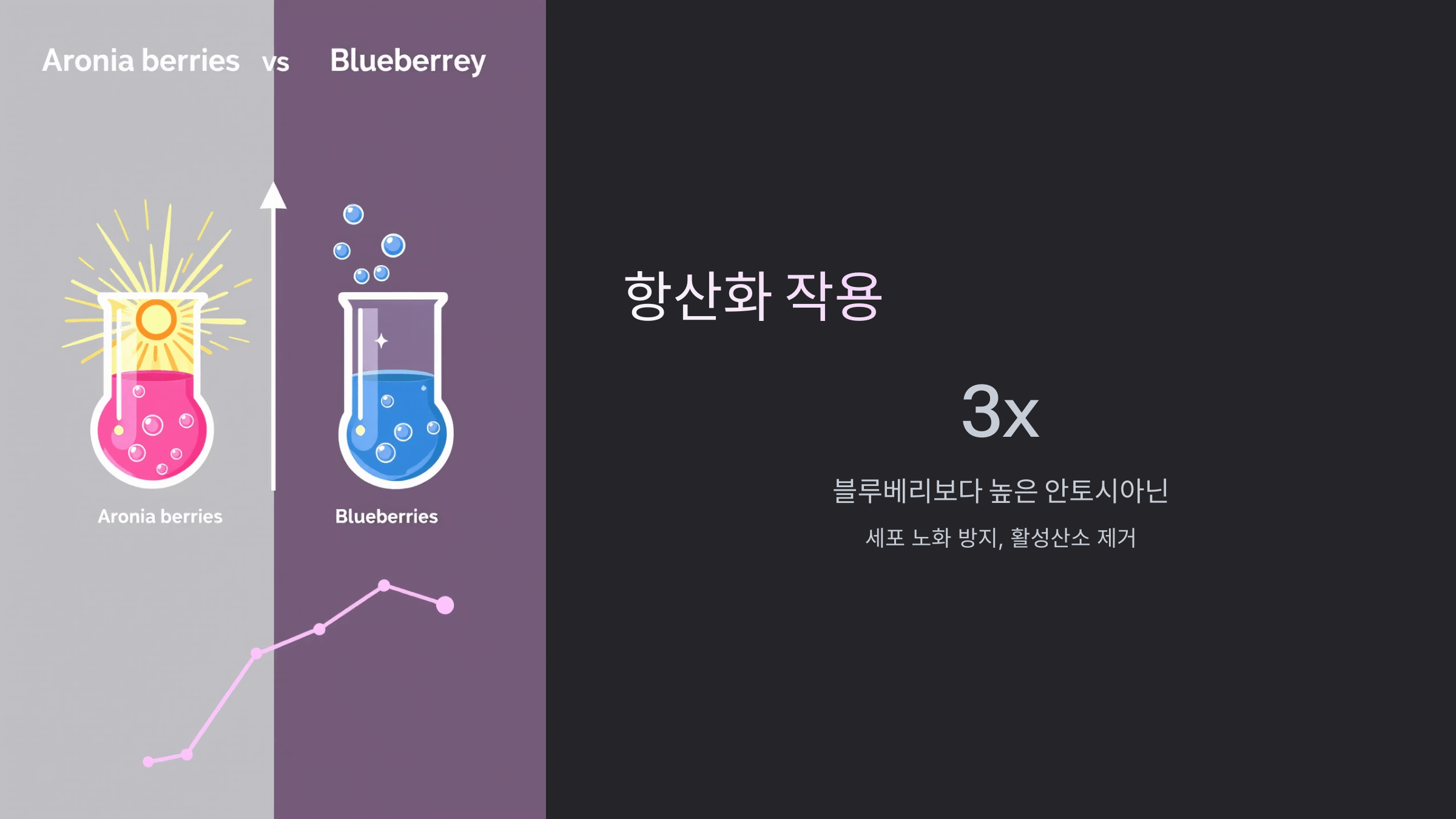 아로니아 사진입니다.