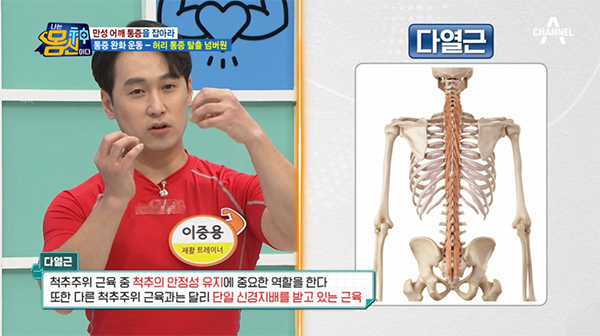 허리아플때 운동법