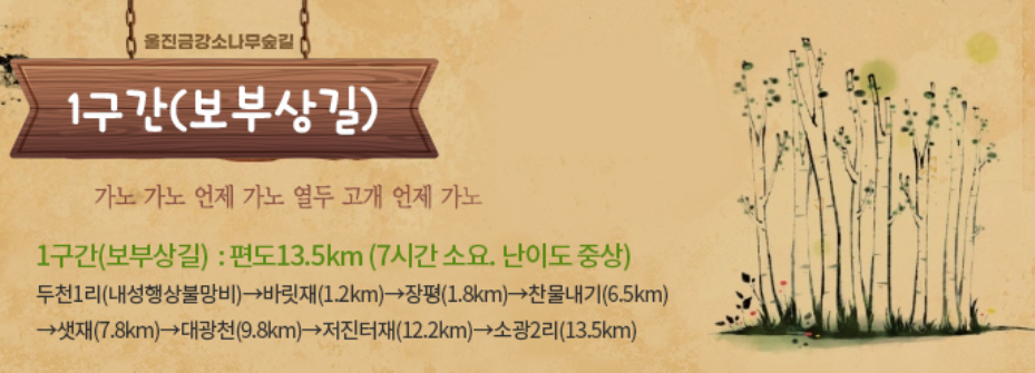 울진 금강소나무숲길