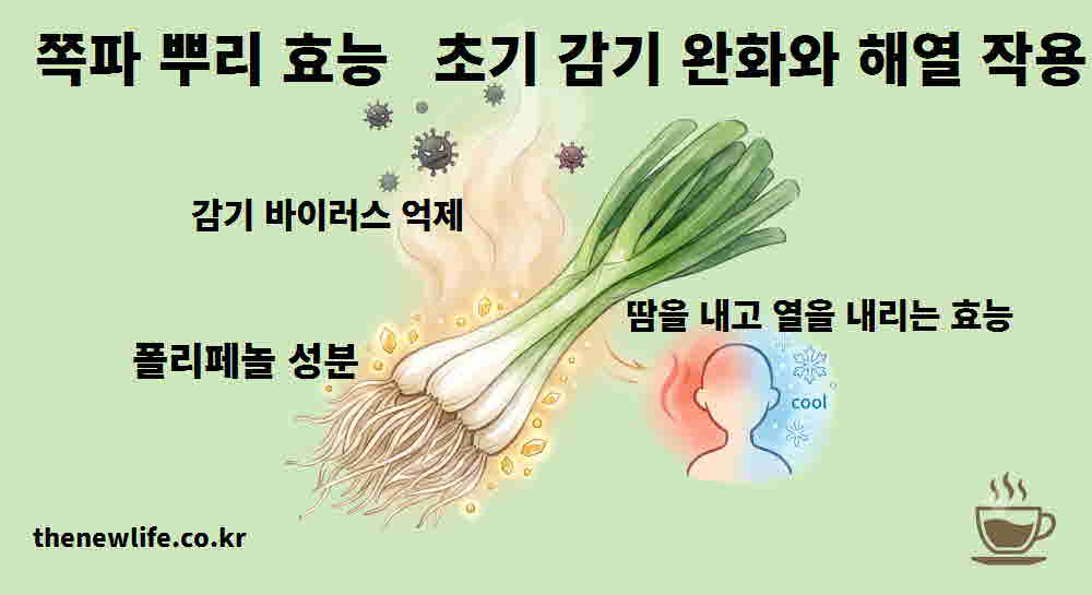 쪽파 뿌리 효능 초기 감기 완화 해열 작용